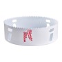 SEGA A TAZZA MILWAUKEE 152 MM