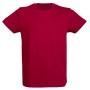 T-SHIRT JRC ARGENTINA MAN - BURGUNDY