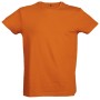 T-SHIRT JRC ARGENTINA MAN - TOBACCO